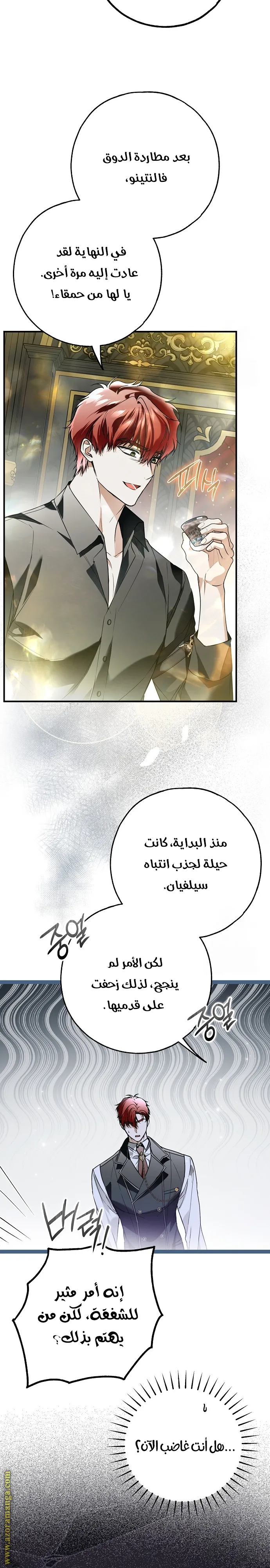 الصفحة 15