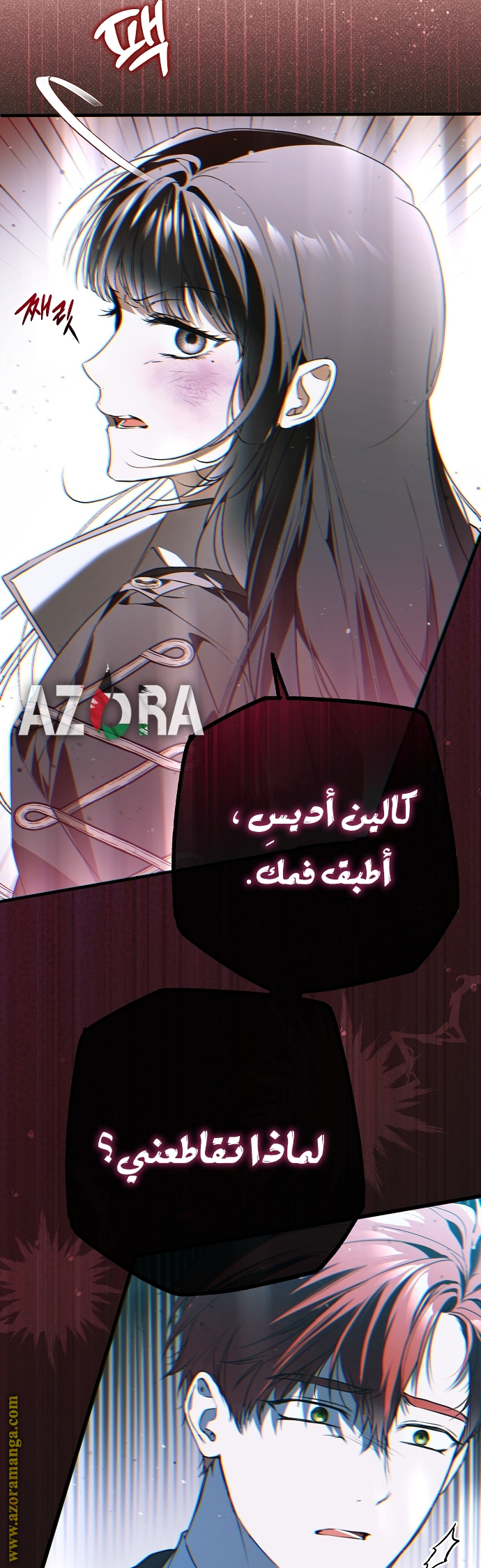 الصفحة 13
