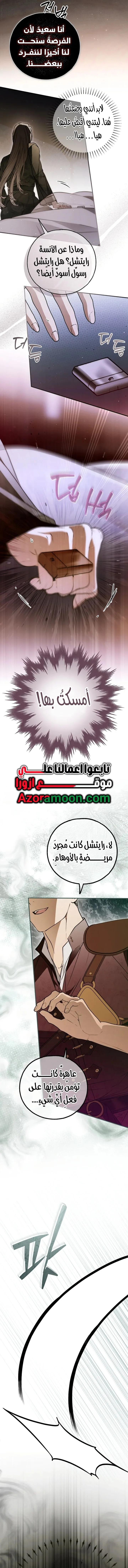 الصفحة 13
