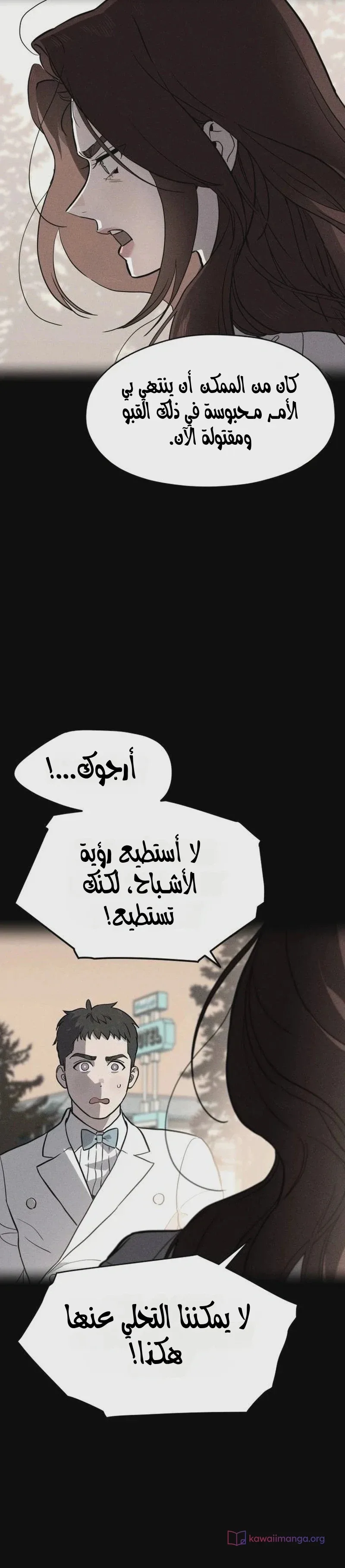 الصفحة 25