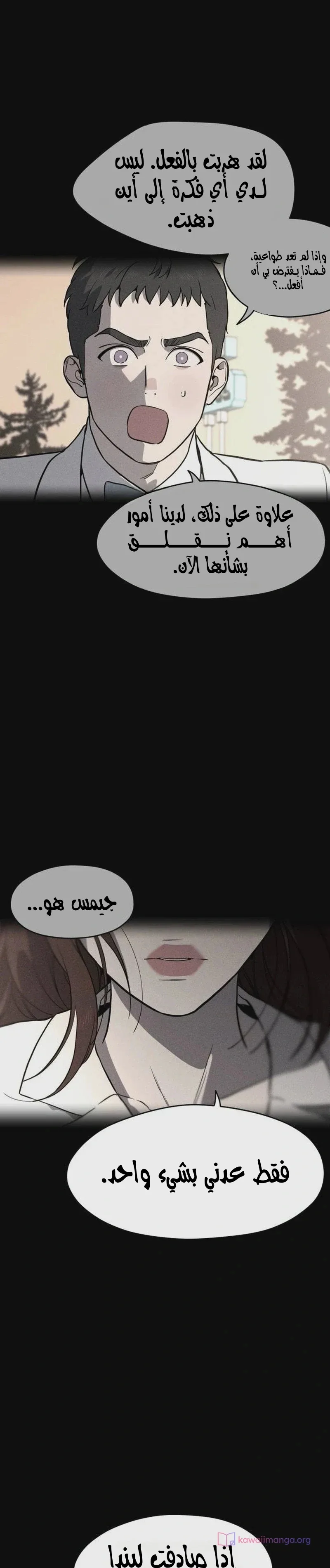 الصفحة 26