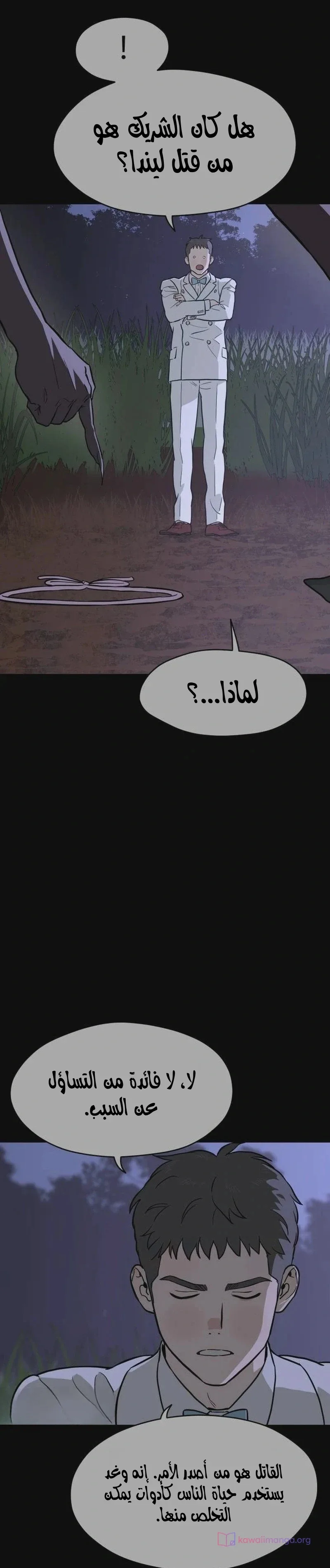 الصفحة 31