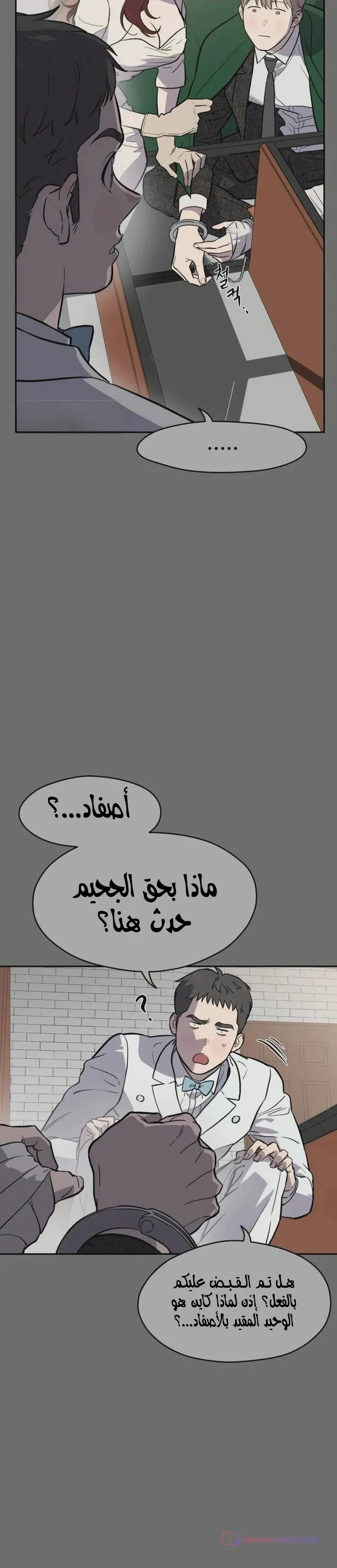 الصفحة 45