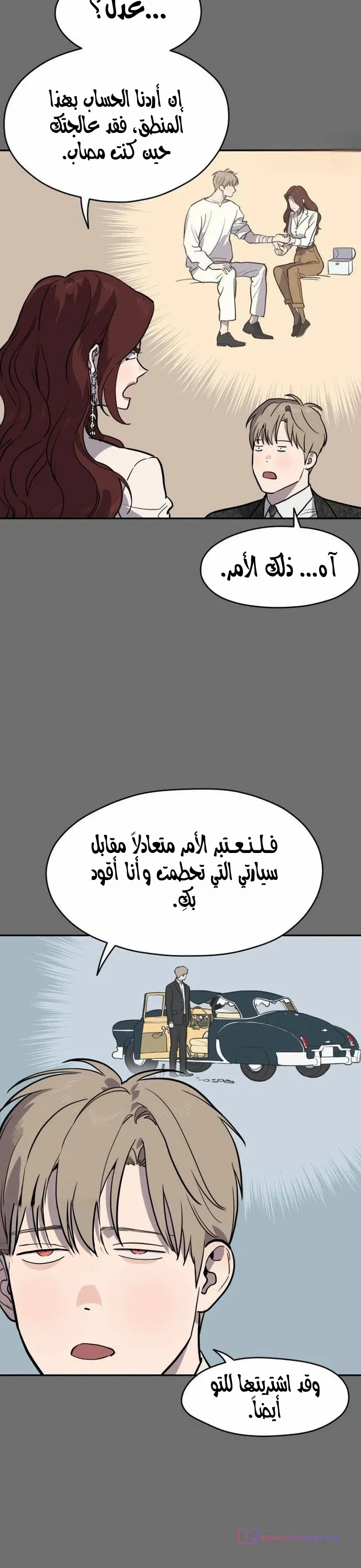الصفحة 21