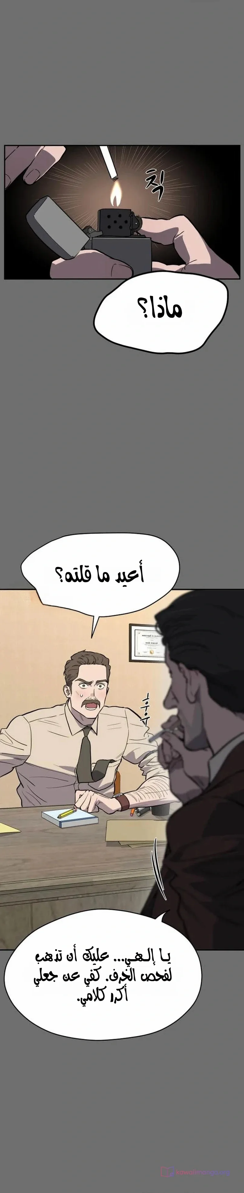 الصفحة 25