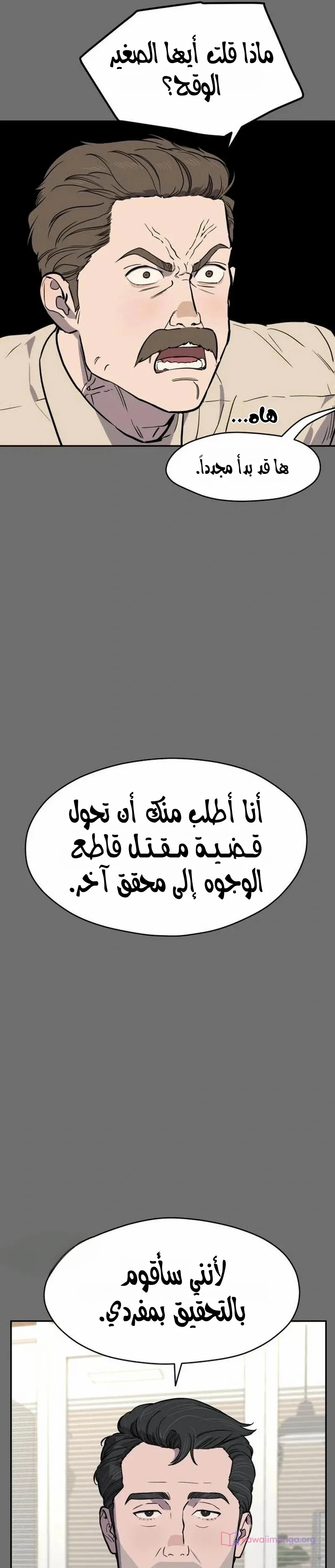 الصفحة 26