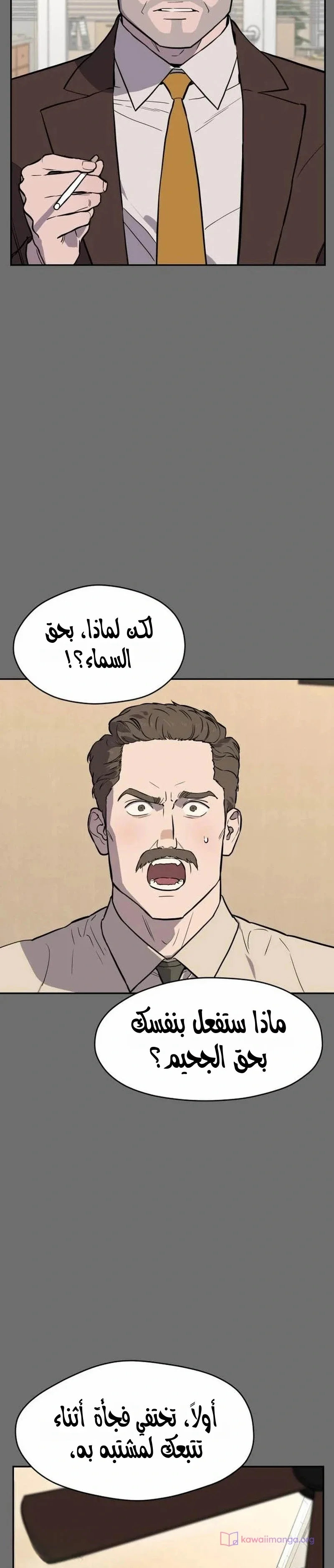 الصفحة 27