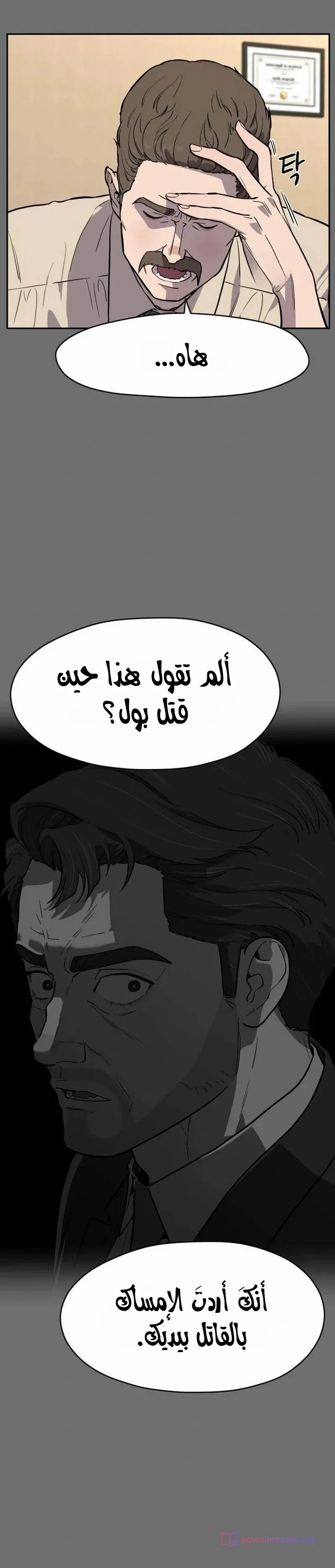 الصفحة 29