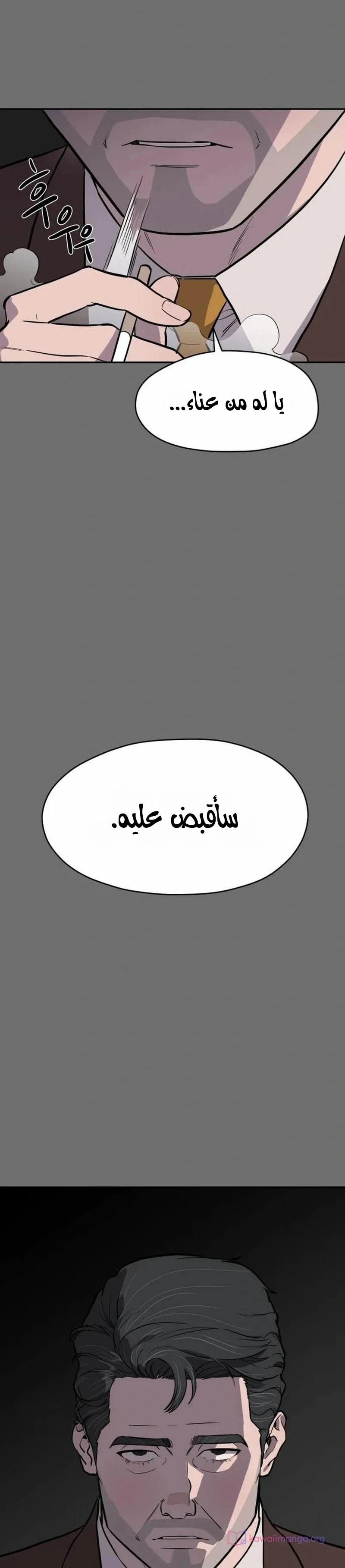 الصفحة 31