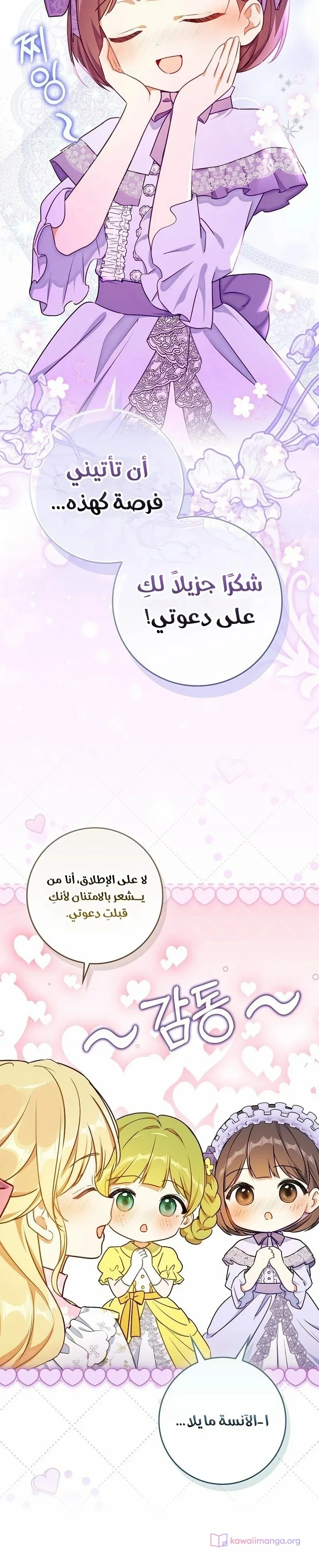 الصفحة 17