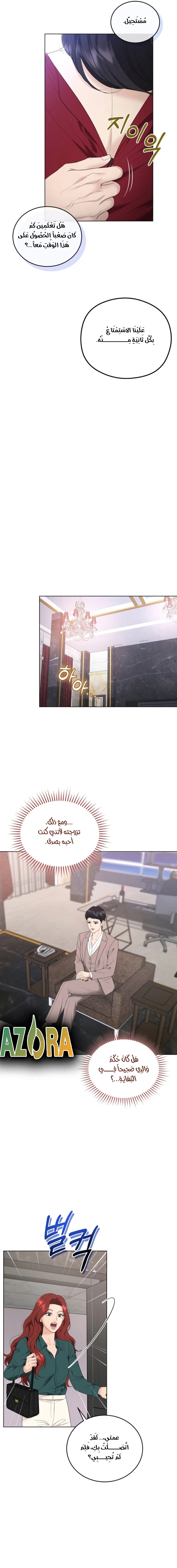 الصفحة 12