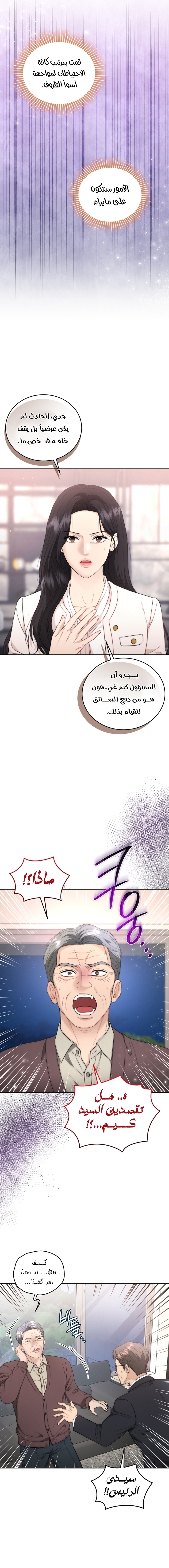 الصفحة 17