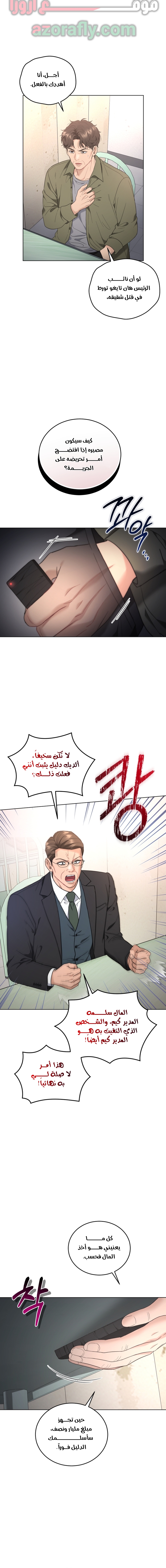 الصفحة 13