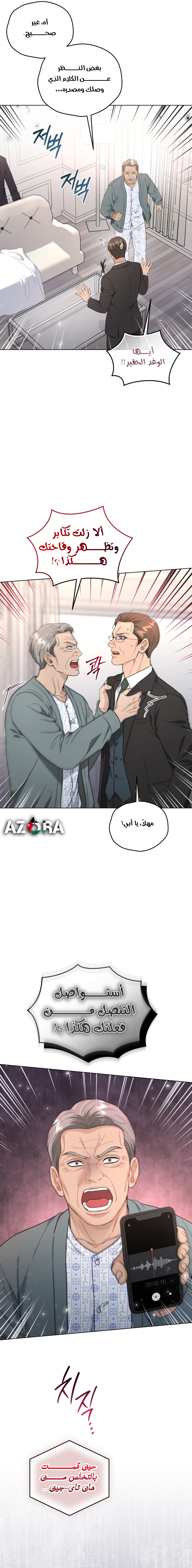 الصفحة 17