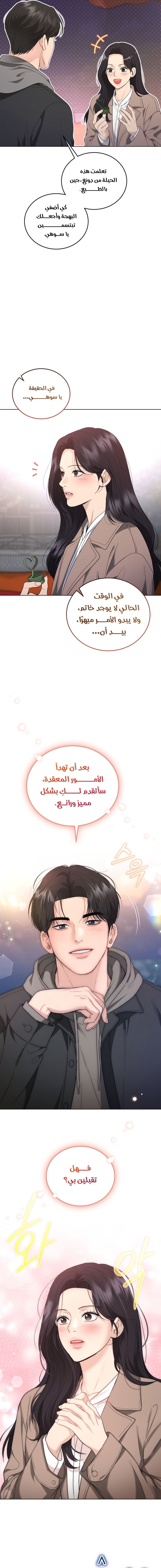 الصفحة 17