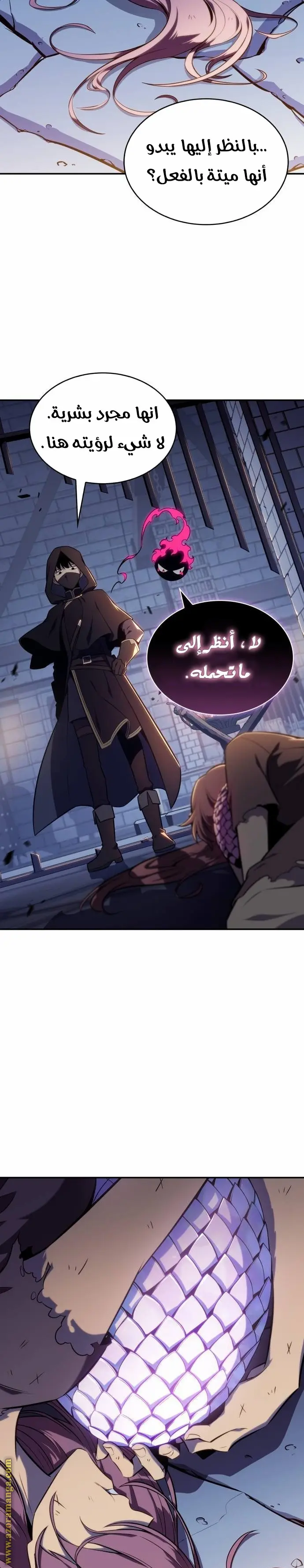 الصفحة 28