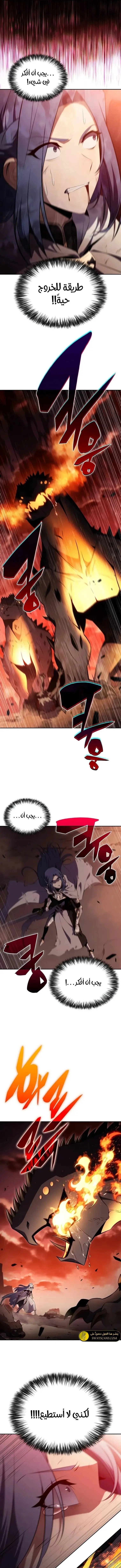 الصفحة 13