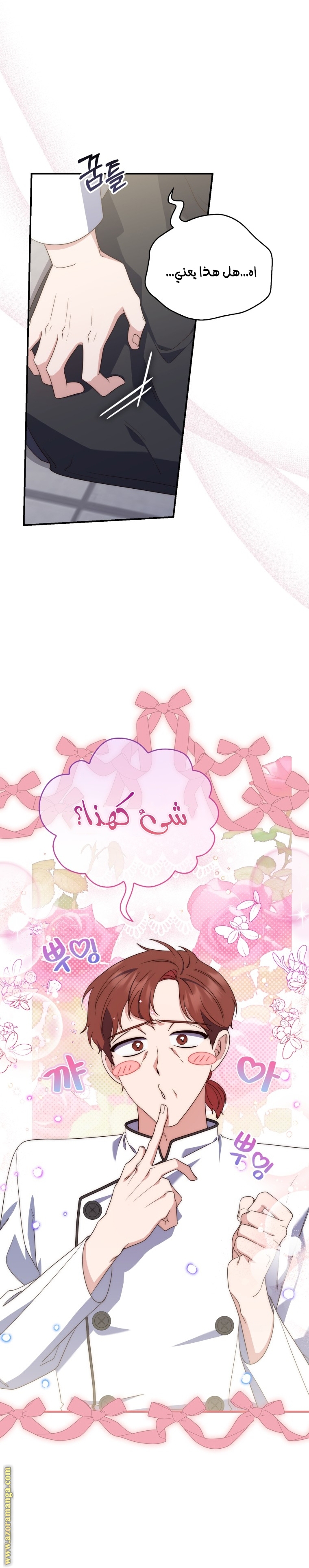 الصفحة 13