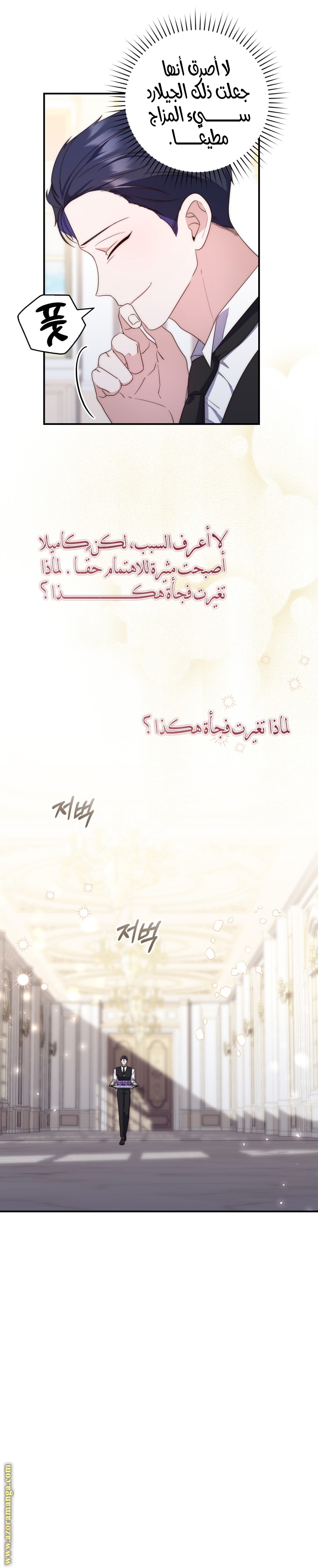 الصفحة 17