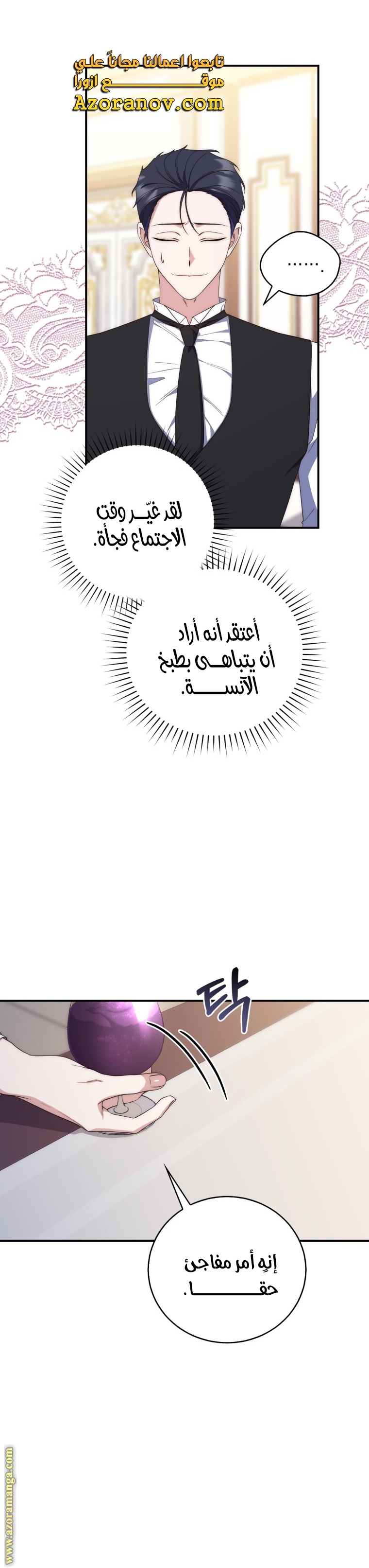 الصفحة 21