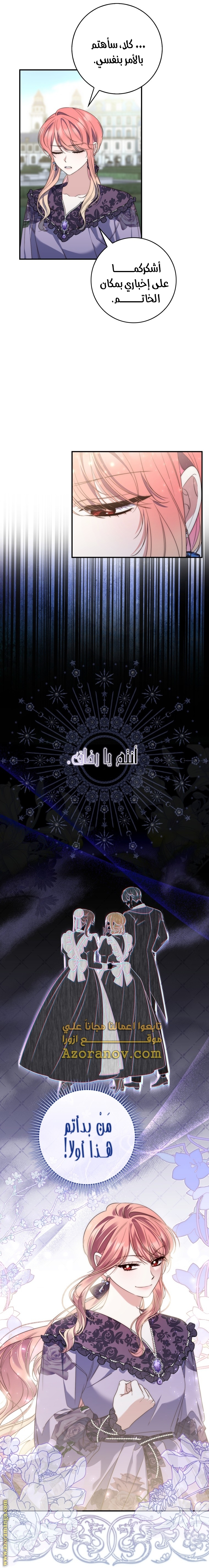 الصفحة 17