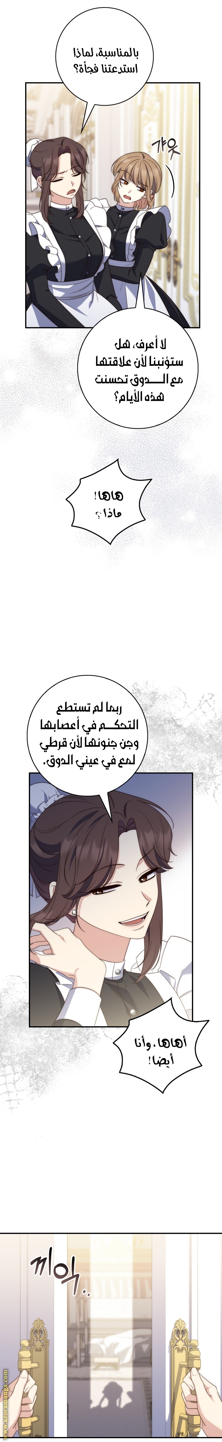 الصفحة 19