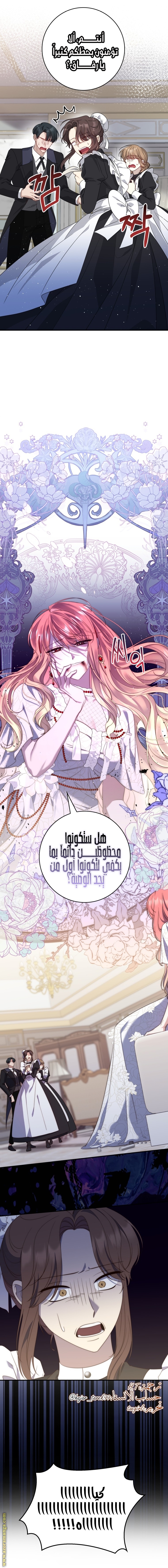 الصفحة 25