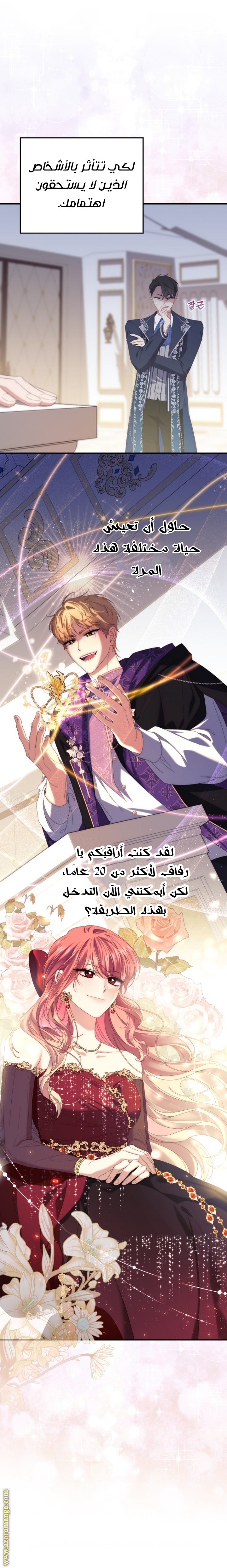 الصفحة 17