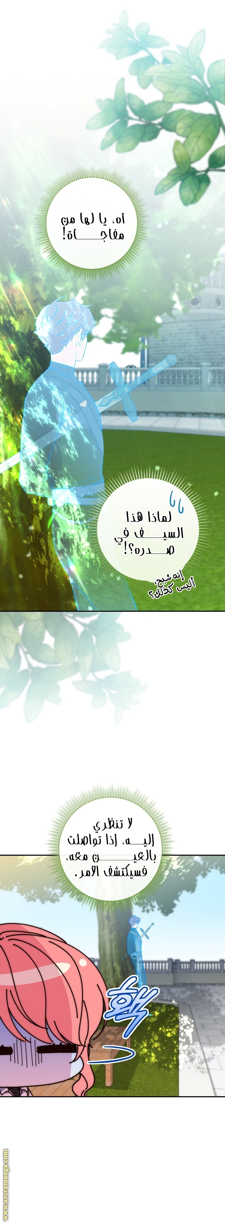 الصفحة 24