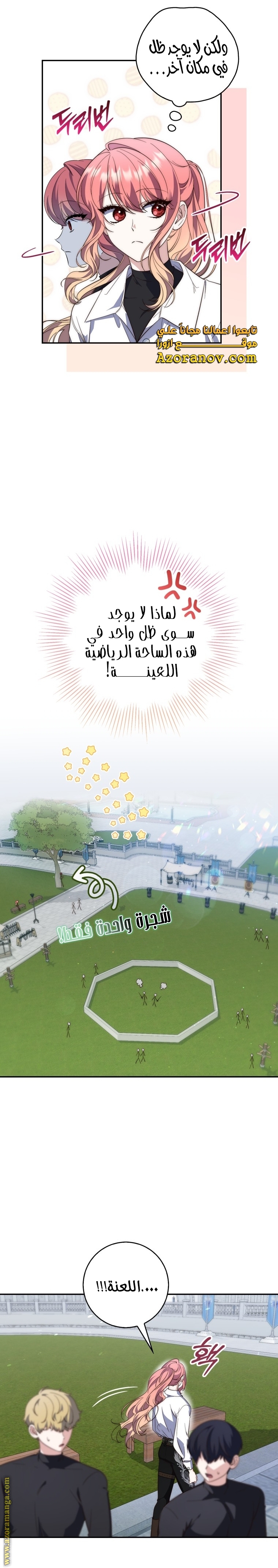 الصفحة 25