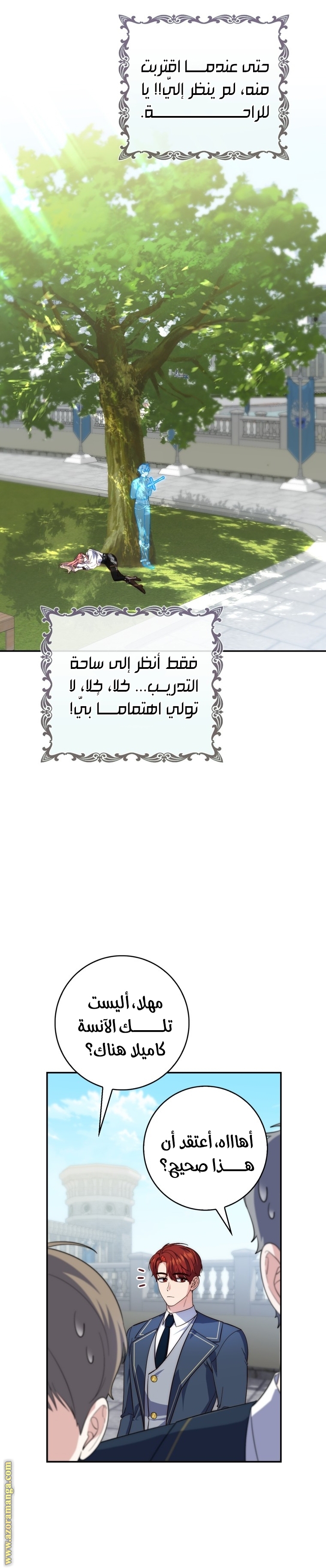 الصفحة 27
