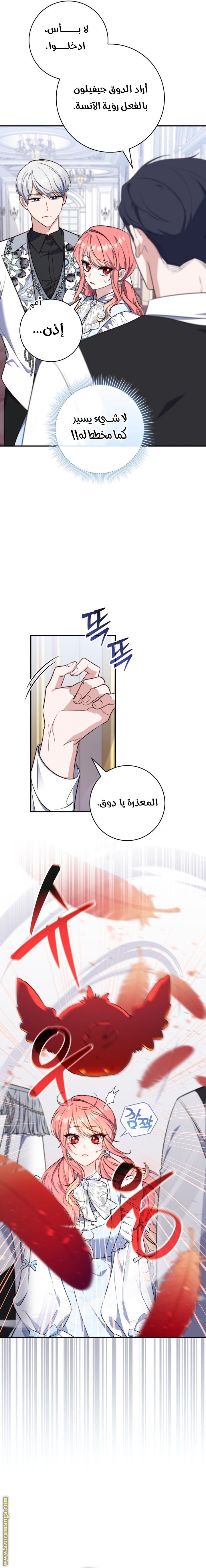 الصفحة 12