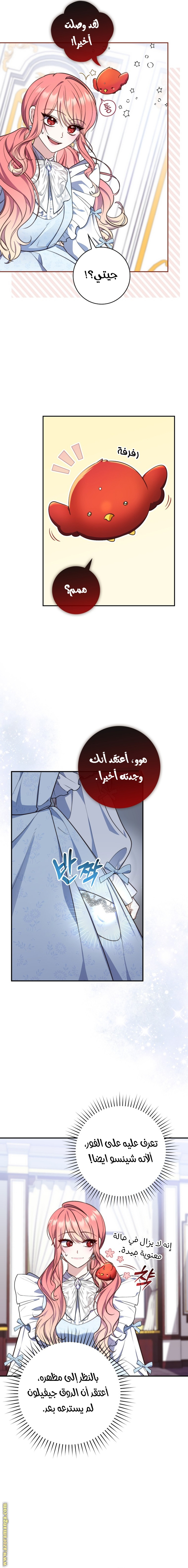 الصفحة 13
