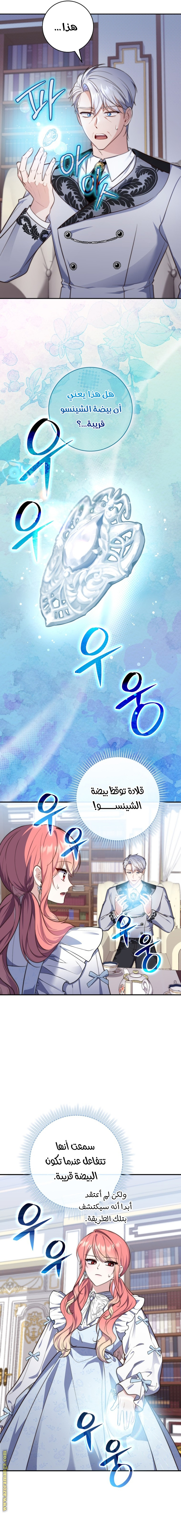 الصفحة 16