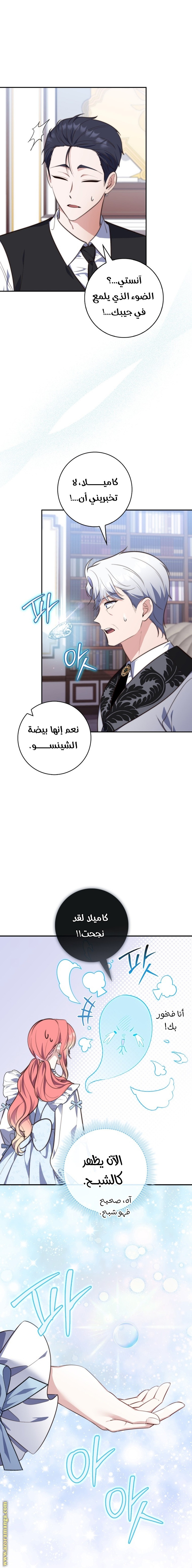 الصفحة 17