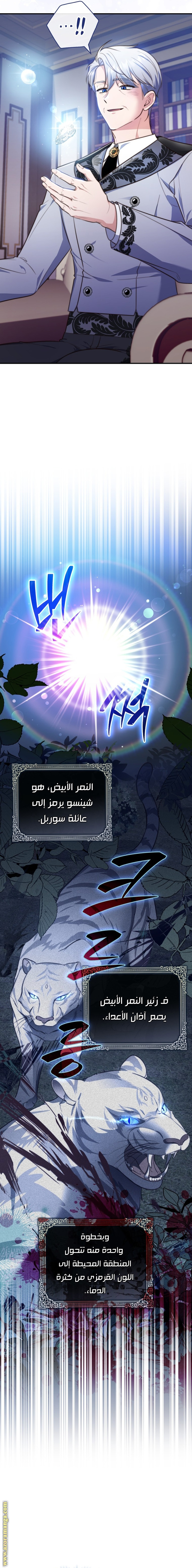 الصفحة 18