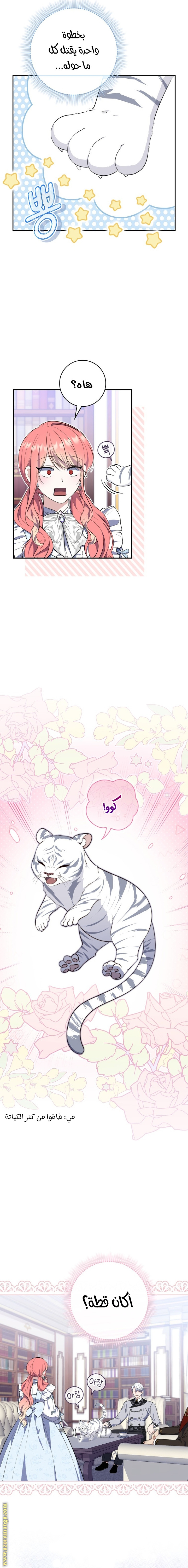 الصفحة 19