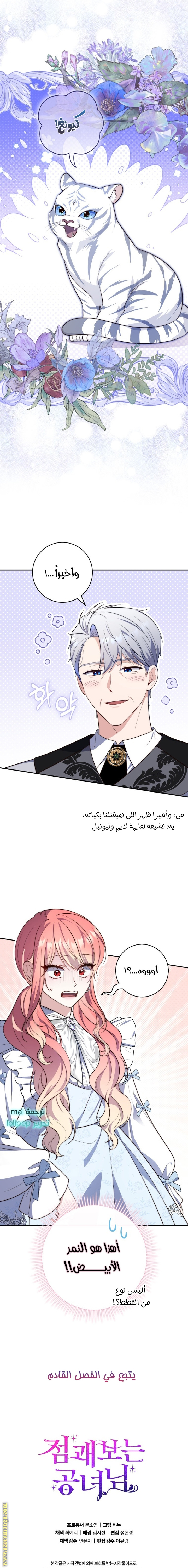 الصفحة 20