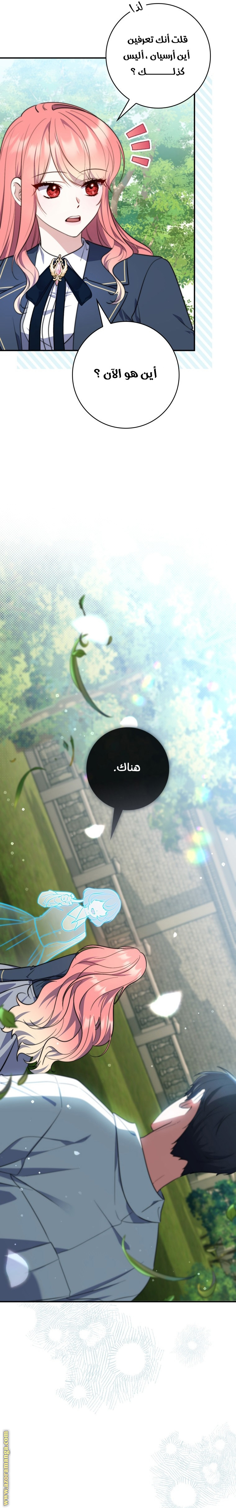 الصفحة 13