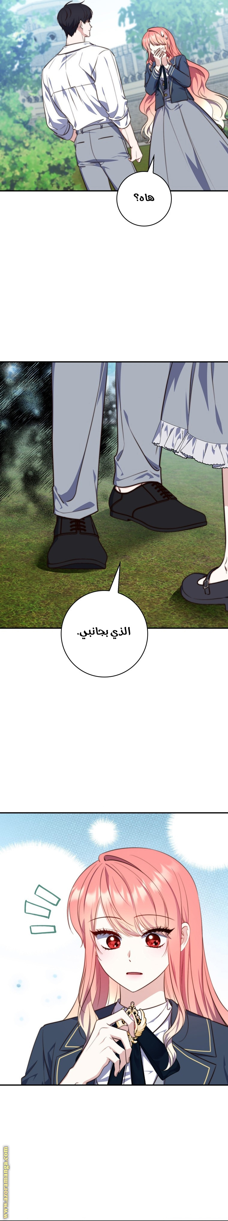 الصفحة 25