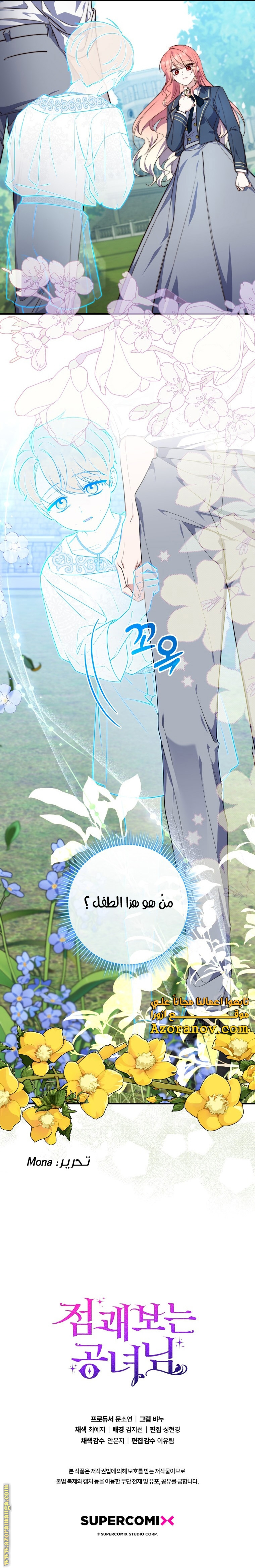 الصفحة 26