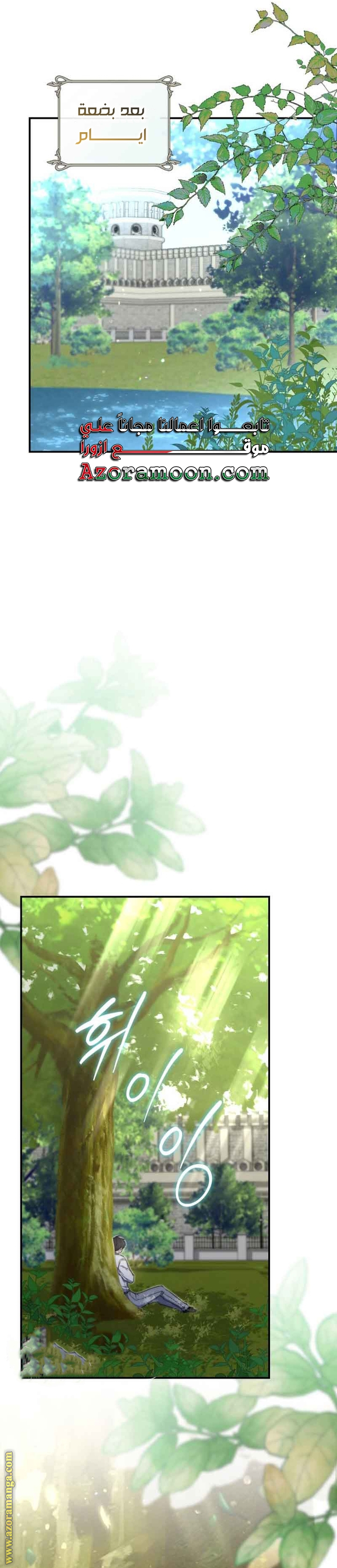 الصفحة 24