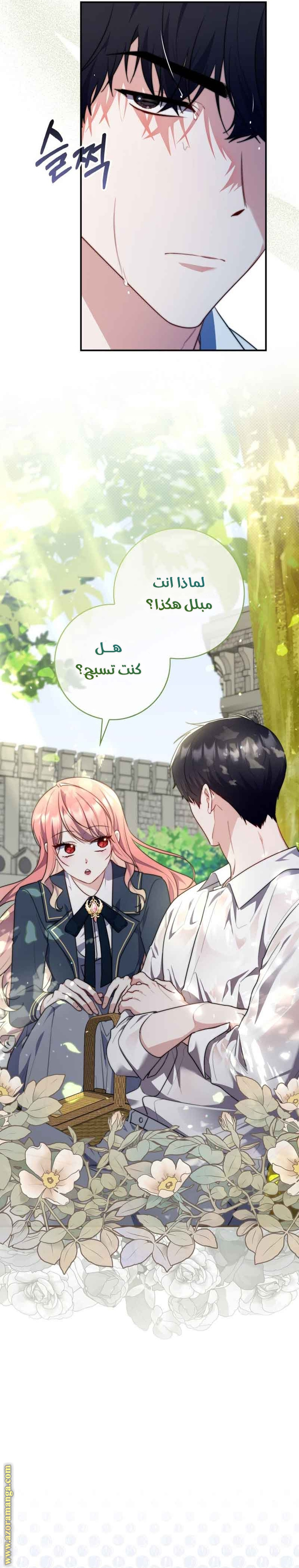 الصفحة 26