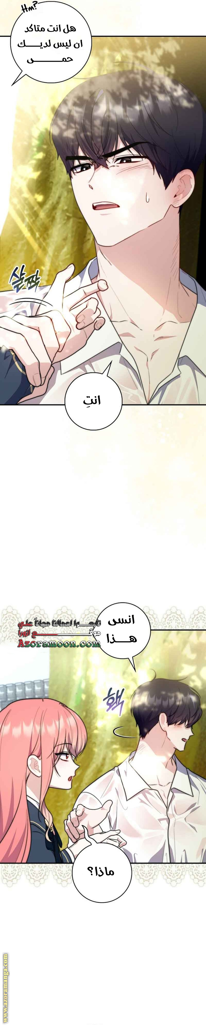 الصفحة 30