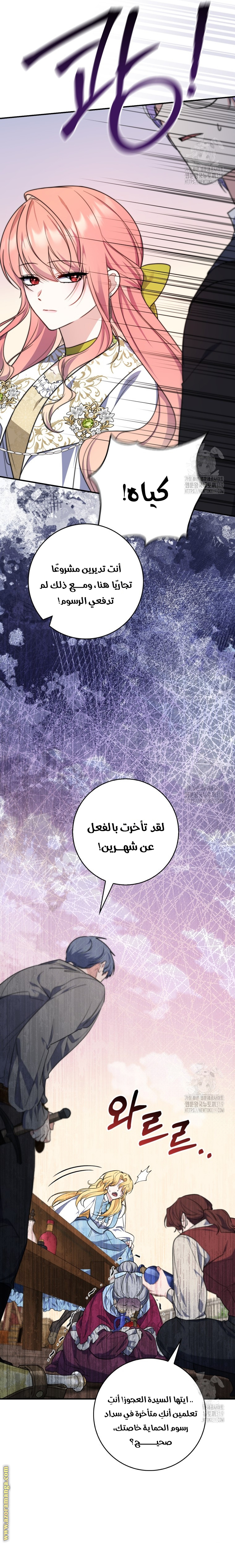 الصفحة 25