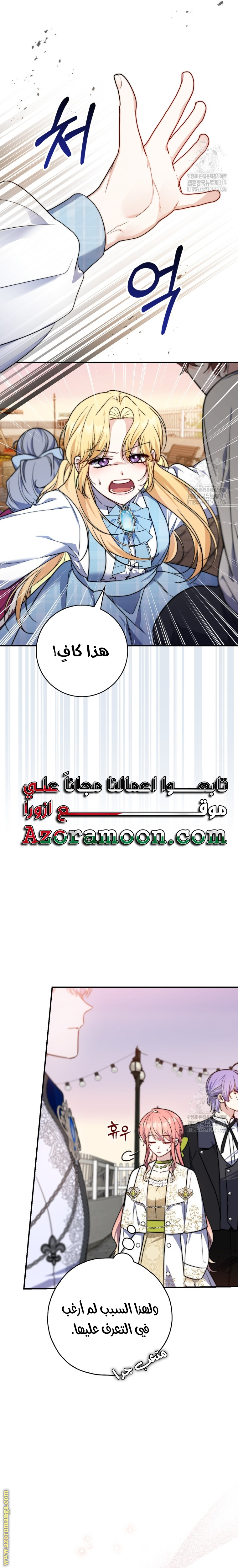 الصفحة 26