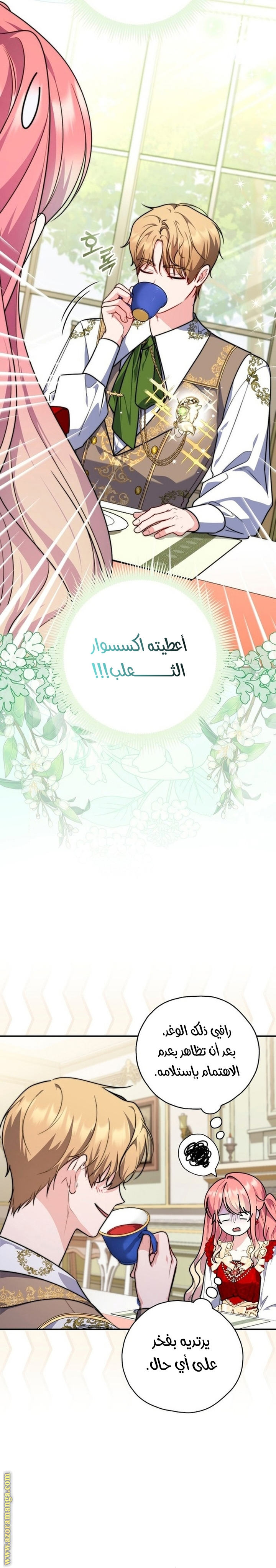 الصفحة 24