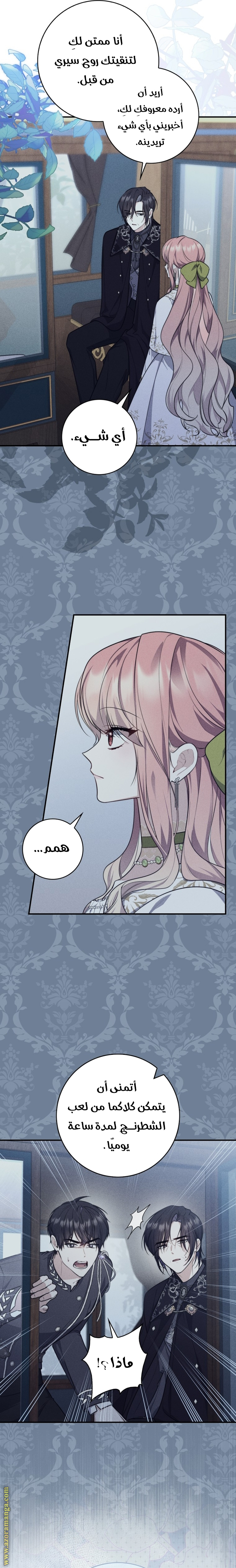 الصفحة 13