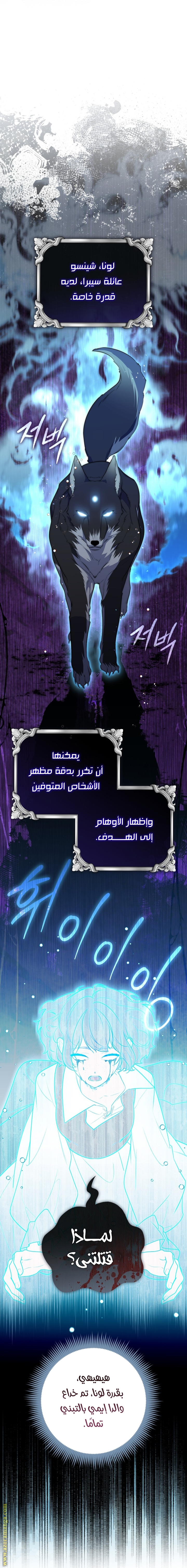 الصفحة 17