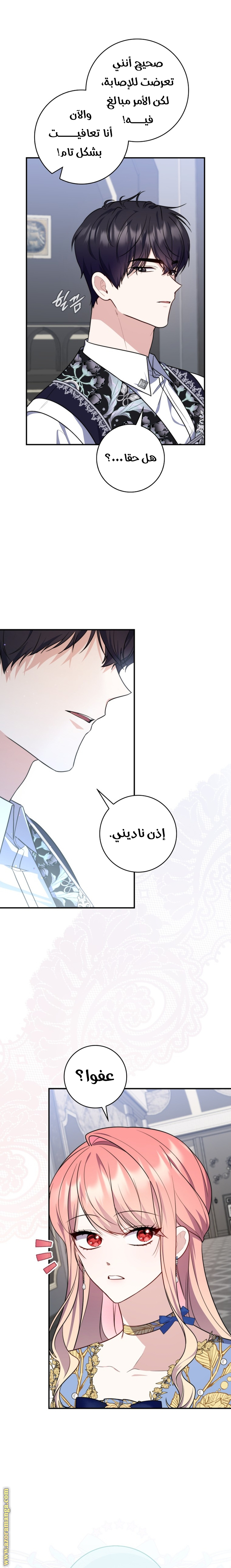 الصفحة 21